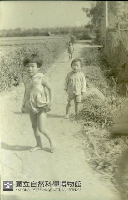 1950至2006年臺灣常民生活藏品圖，第1張