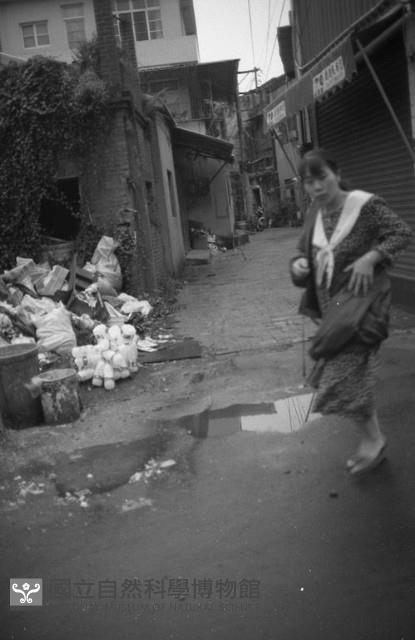 1950至2006年臺灣常民生活藏品圖，第1張