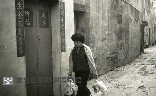 1950至2006年臺灣常民生活藏品圖，第1張