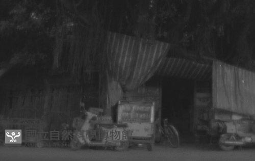 1950至2006年臺灣常民生活藏品圖，第1張