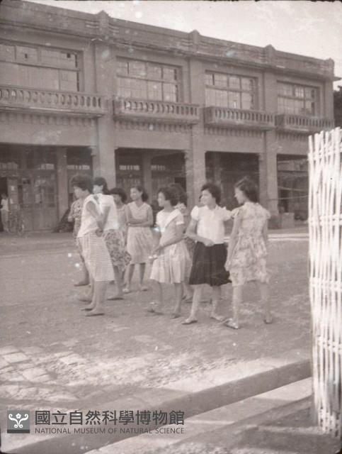 1950至2006年臺灣常民生活藏品圖，第1張