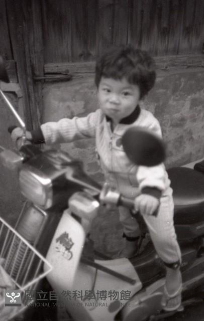 1950至2006年臺灣常民生活藏品圖，第1張