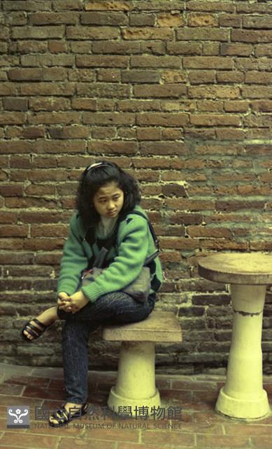 1950至2006年臺灣常民生活藏品圖，第1張