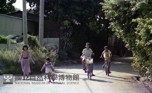 1950至2006年臺灣常民生活藏品圖，第1張