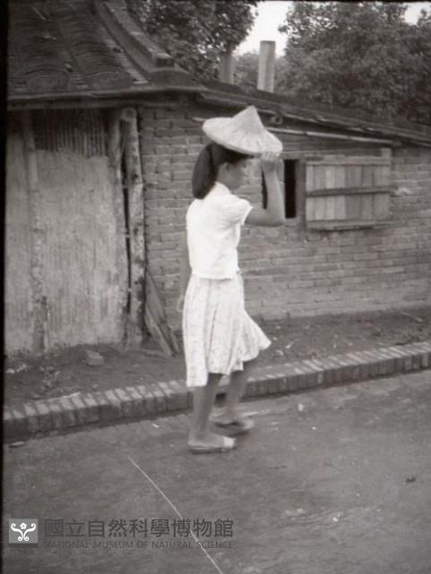 1950至2006年台灣常民生活藏品圖，第1張
