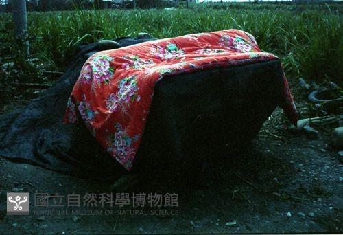 1950至2006年臺灣常民生活藏品圖，第1張