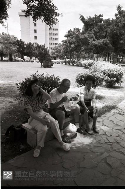 1950至2006年臺灣常民生活藏品圖，第1張