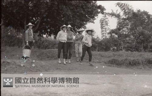 1950至2006年臺灣常民生活藏品圖，第1張