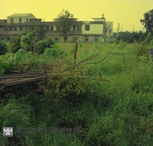1950至2006年臺灣常民生活藏品圖，第1張