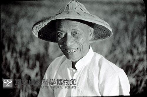 1950至2006年臺灣常民生活藏品圖，第1張