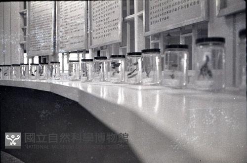 1950至2006年臺灣常民生活藏品圖，第1張