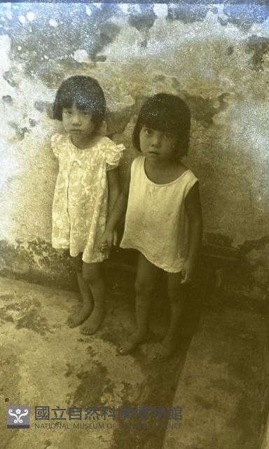 1950至2006年臺灣常民生活藏品圖，第1張