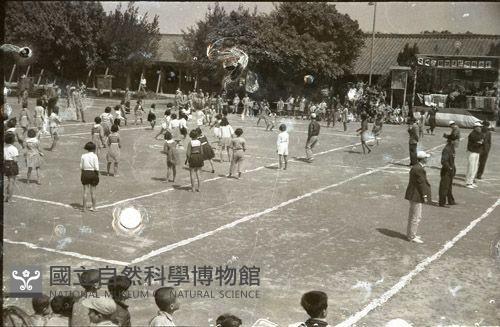 1950至2006年臺灣常民生活藏品圖，第1張