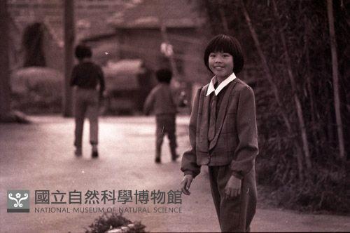 1950至2006年臺灣常民生活藏品圖，第1張