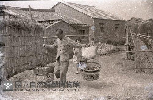 1950至2006年臺灣常民生活藏品圖，第1張