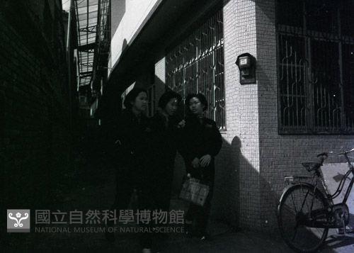 1950至2006年台灣常民生活藏品圖，第1張