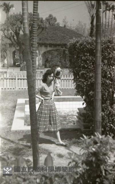 1950至2006年臺灣常民生活藏品圖，第1張