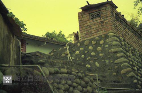 1950至2006年臺灣常民生活藏品圖，第1張