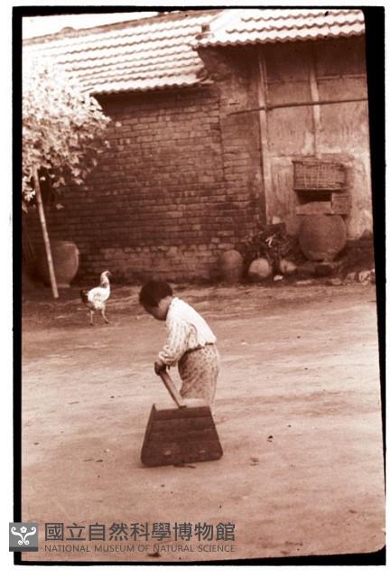 1950至2006年臺灣常民生活藏品圖，第1張