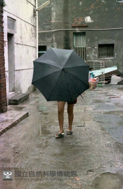 1950至2006年臺灣常民生活藏品圖，第1張