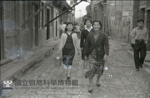 1950至2006年臺灣常民生活藏品圖，第1張