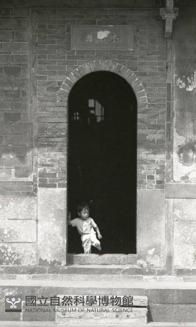 1950至2006年臺灣常民生活藏品圖，第1張