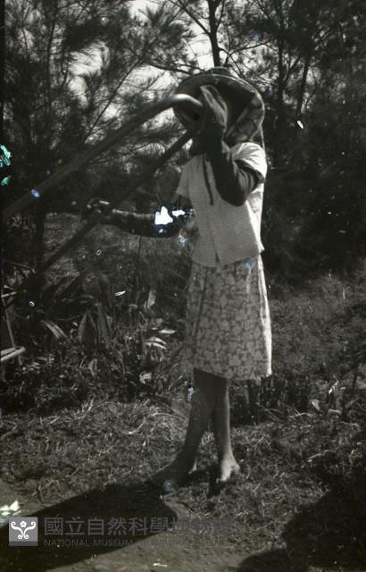 1950至2006年臺灣常民生活 藏品圖，第1張