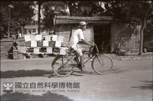 1950至2006年臺灣常民生活藏品圖，第1張