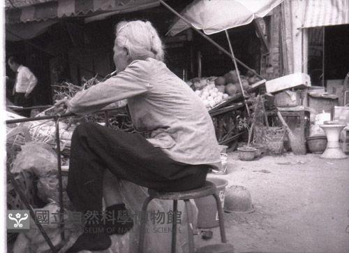 1950至2006年臺灣常民生活藏品圖，第1張