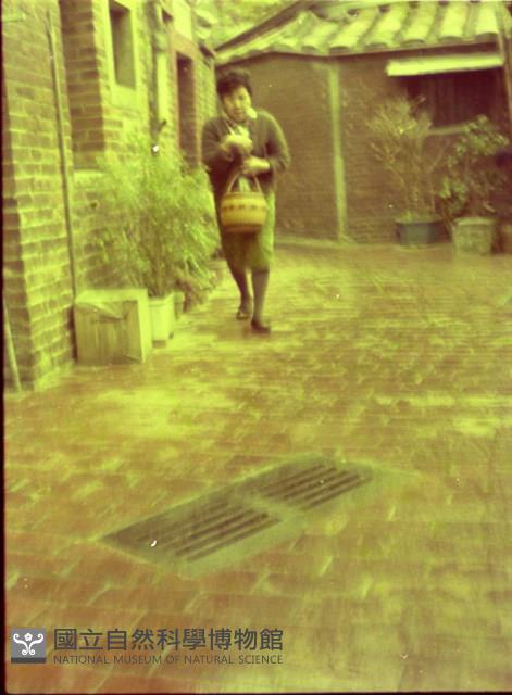 1950至2006年臺灣常民生活藏品圖，第1張