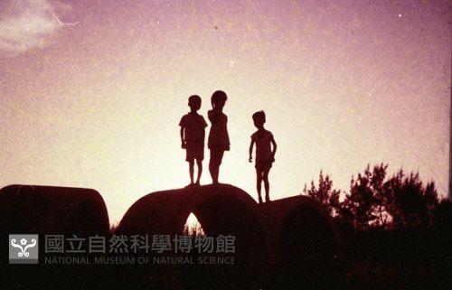1950至2006年臺灣常民生活藏品圖，第1張