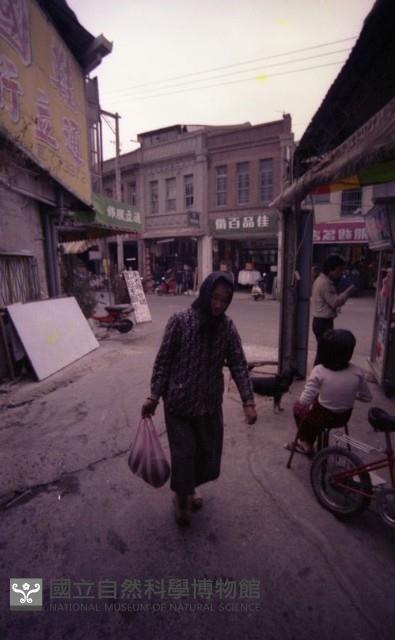 1950至2006年臺灣常民生活藏品圖，第1張