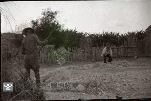 1950至2006年臺灣常民生活藏品圖，第1張