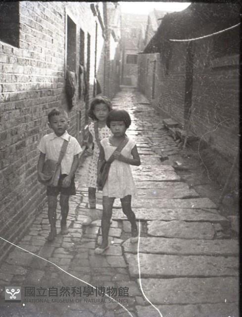1950至2006年臺灣常民生活藏品圖，第1張