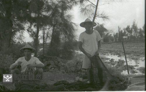 1950至2006年臺灣常民生活藏品圖，第1張