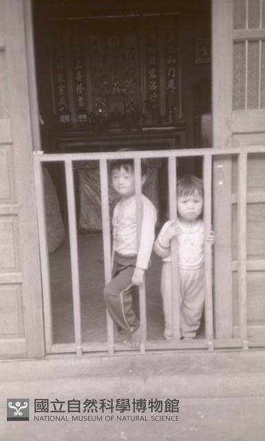 1950至2006年臺灣常民生活藏品圖，第1張