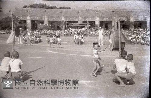 1950至2006年台灣常民生活藏品圖，第1張