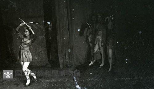 1950至2006年臺灣常民生活 藏品圖，第1張
