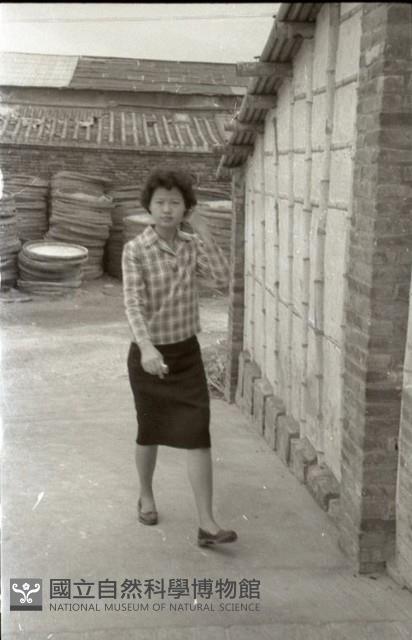 1950至2006年臺灣常民生活藏品圖，第1張
