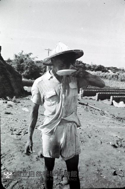 1950至2006年臺灣常民生活藏品圖，第1張