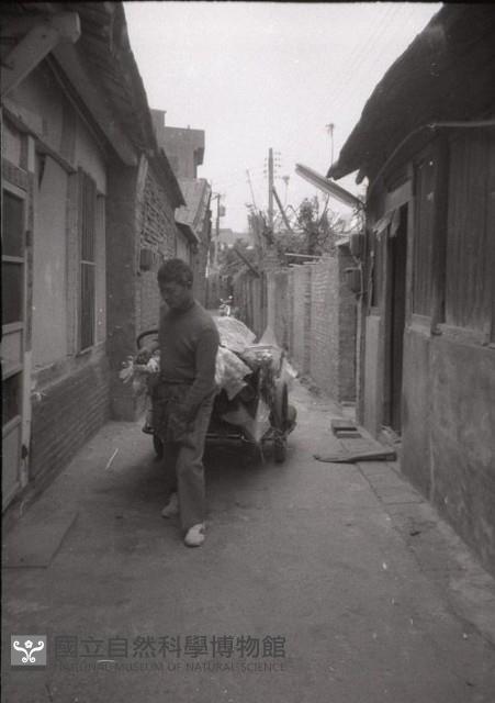 1950至2006年臺灣常民生活藏品圖，第1張