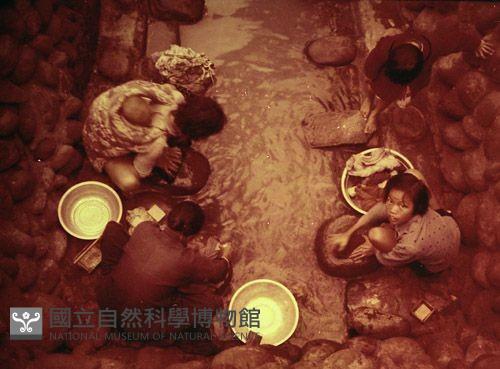 1950至2006年臺灣常民生活藏品圖，第1張