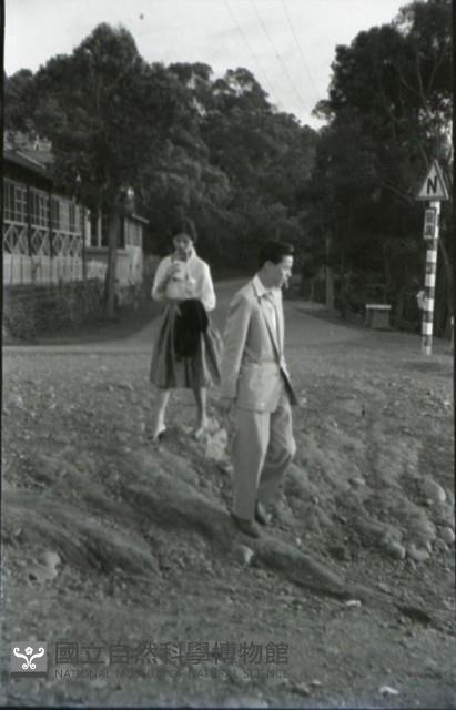 1950至2006年臺灣常民生活藏品圖，第1張