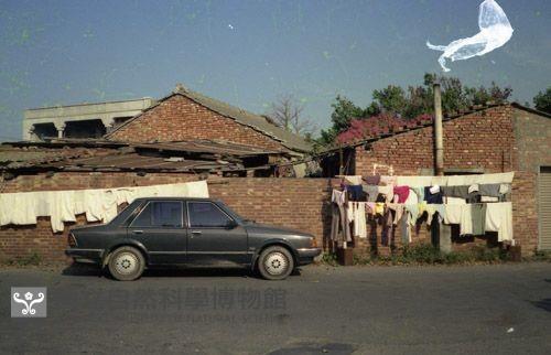 1950至2006年臺灣常民生活藏品圖，第1張