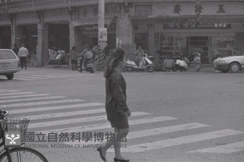 1950至2006年臺灣常民生活藏品圖，第1張