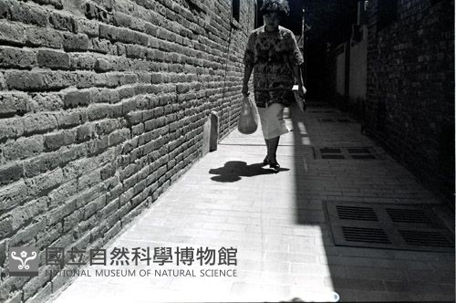 1950至2006年臺灣常民生活藏品圖，第1張