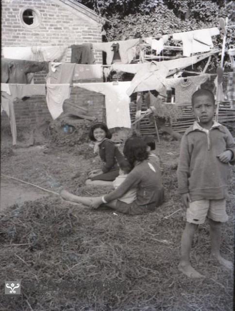 1950至2006年臺灣常民生活藏品圖，第1張