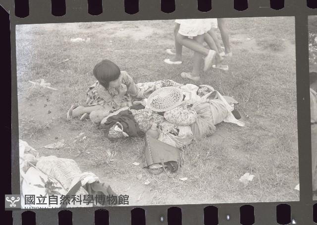 1950至2006年臺灣常民生活藏品圖，第1張