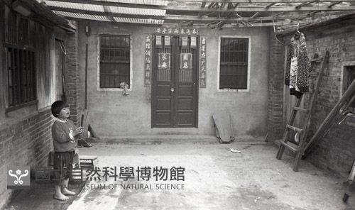 1950至2006年臺灣常民生活藏品圖，第1張