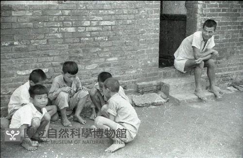 1950至2006年臺灣常民生活藏品圖，第1張